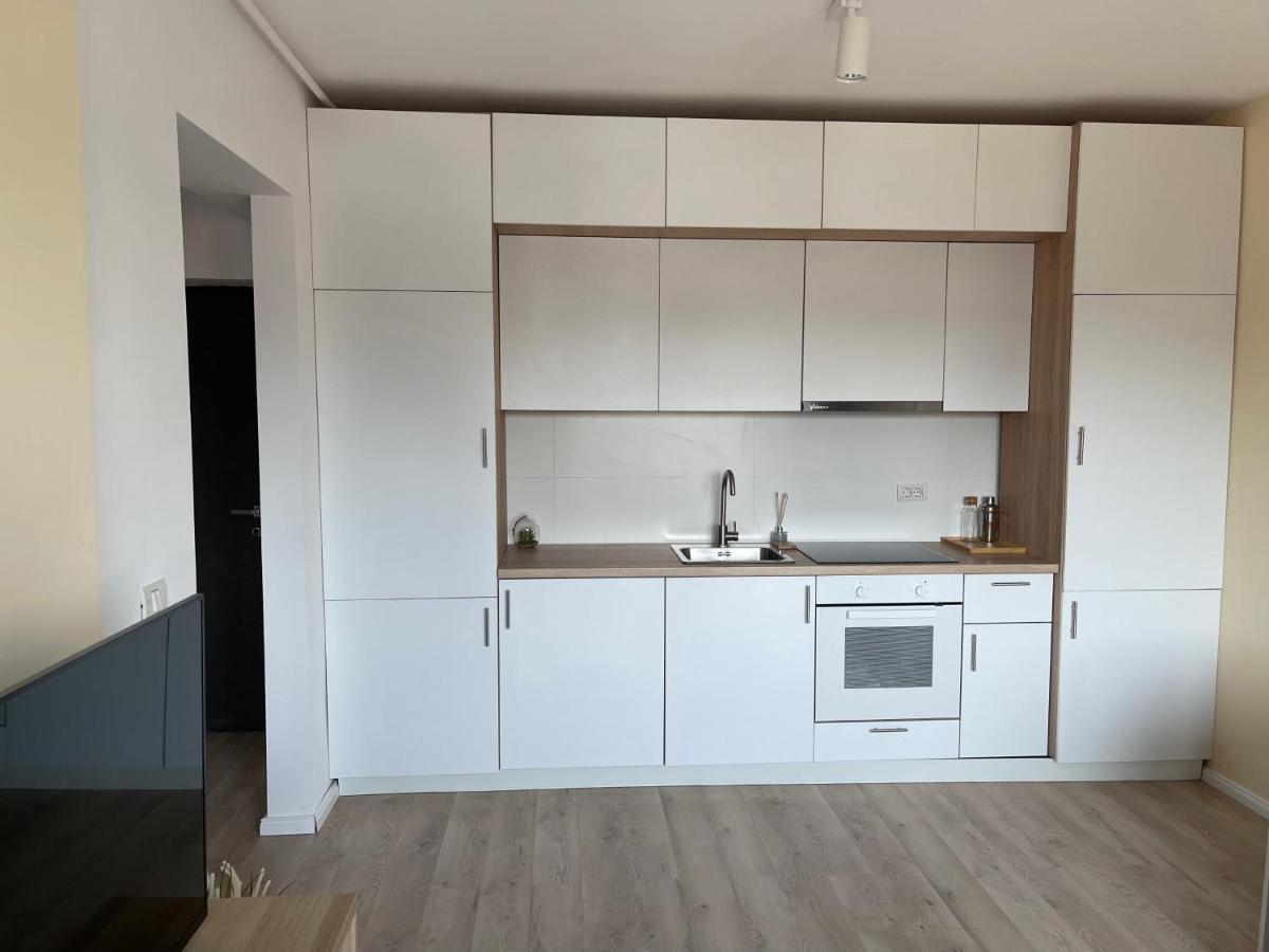 Diamond Luxury Apartment Near Presidential Palace 부쿠레슈티 외부 사진